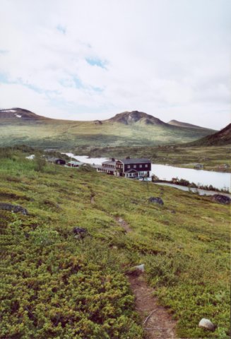 Photograph