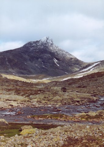 Photograph